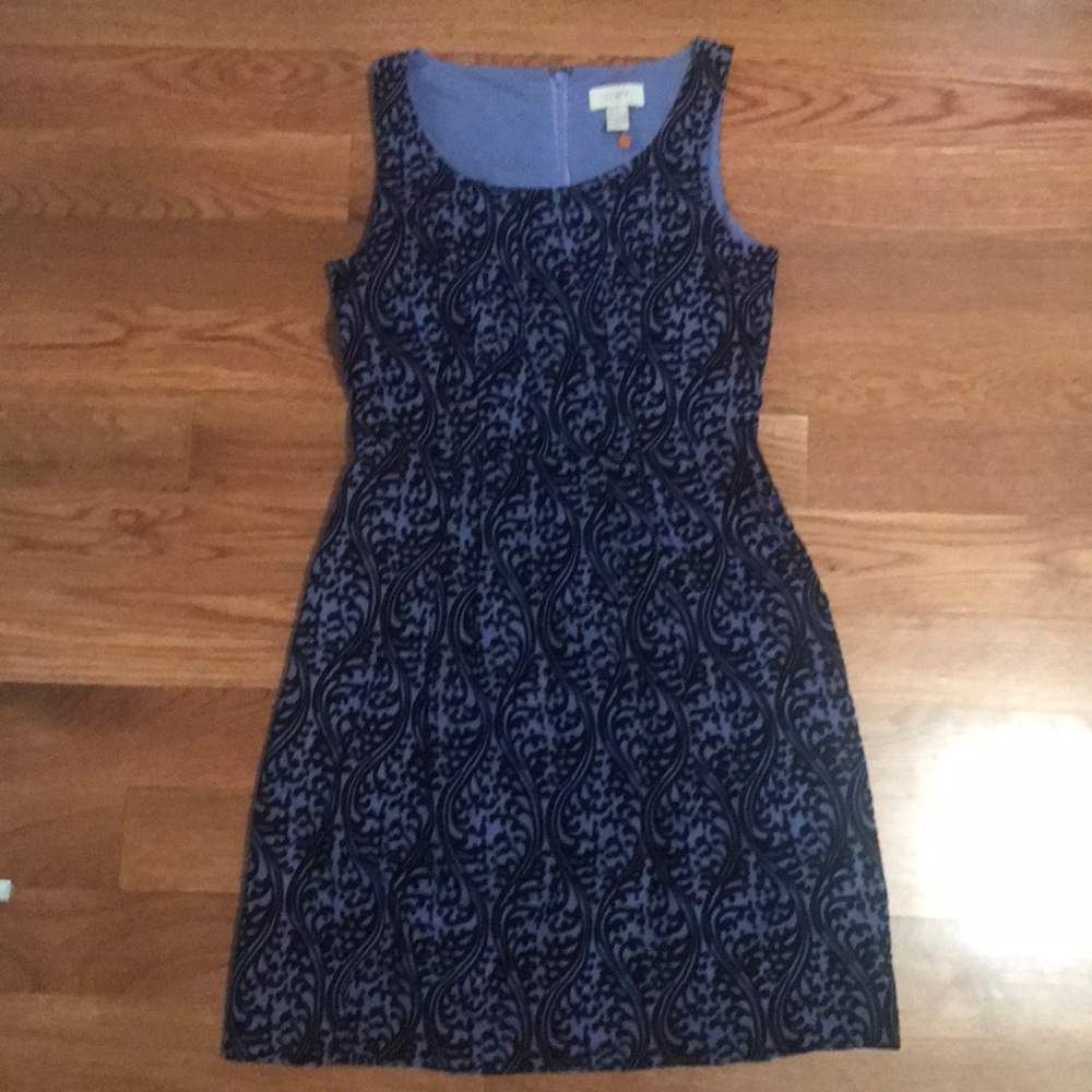 LOFT purple with black velvet pattern dress 0